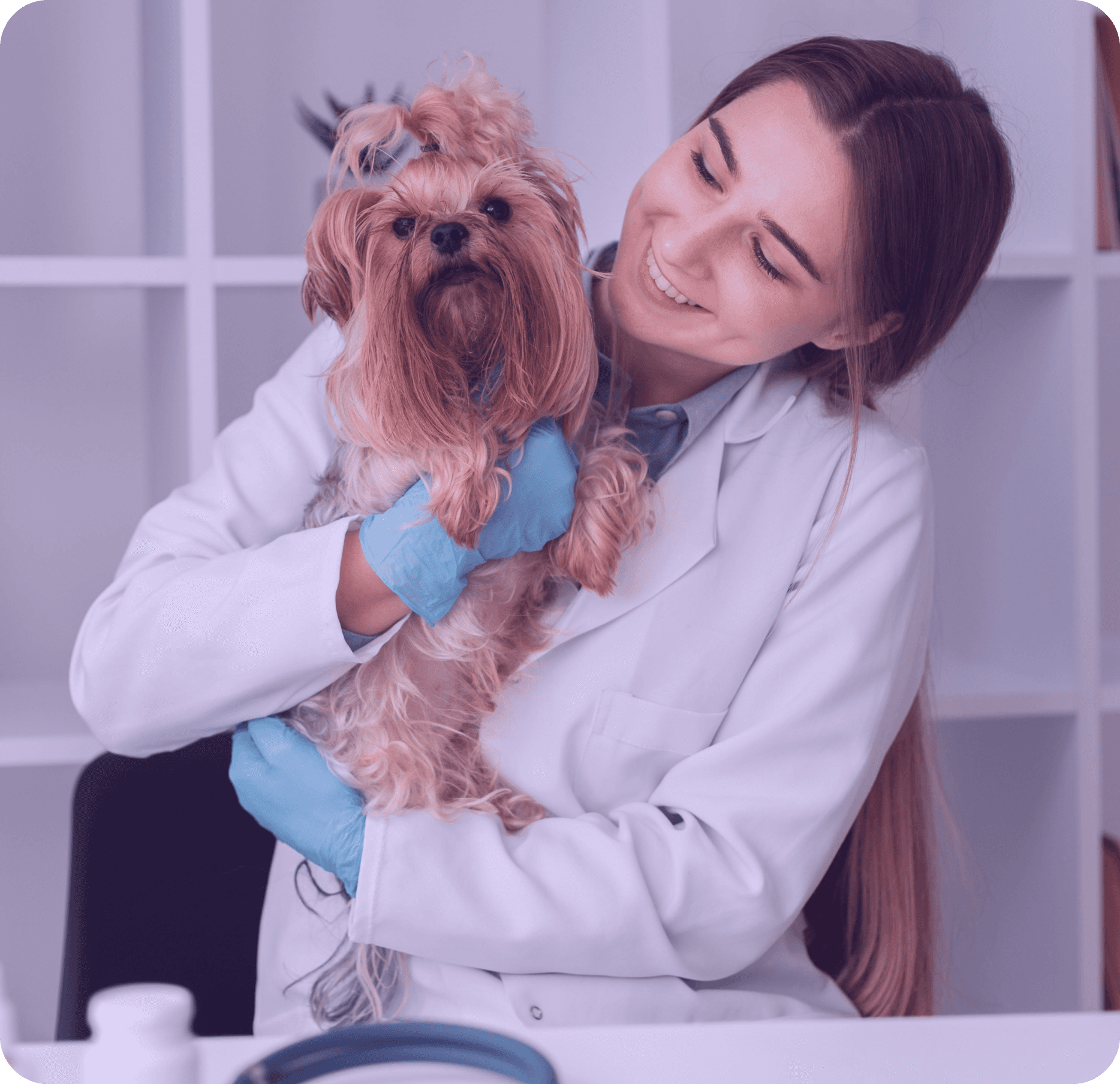 Why Choose Us Image