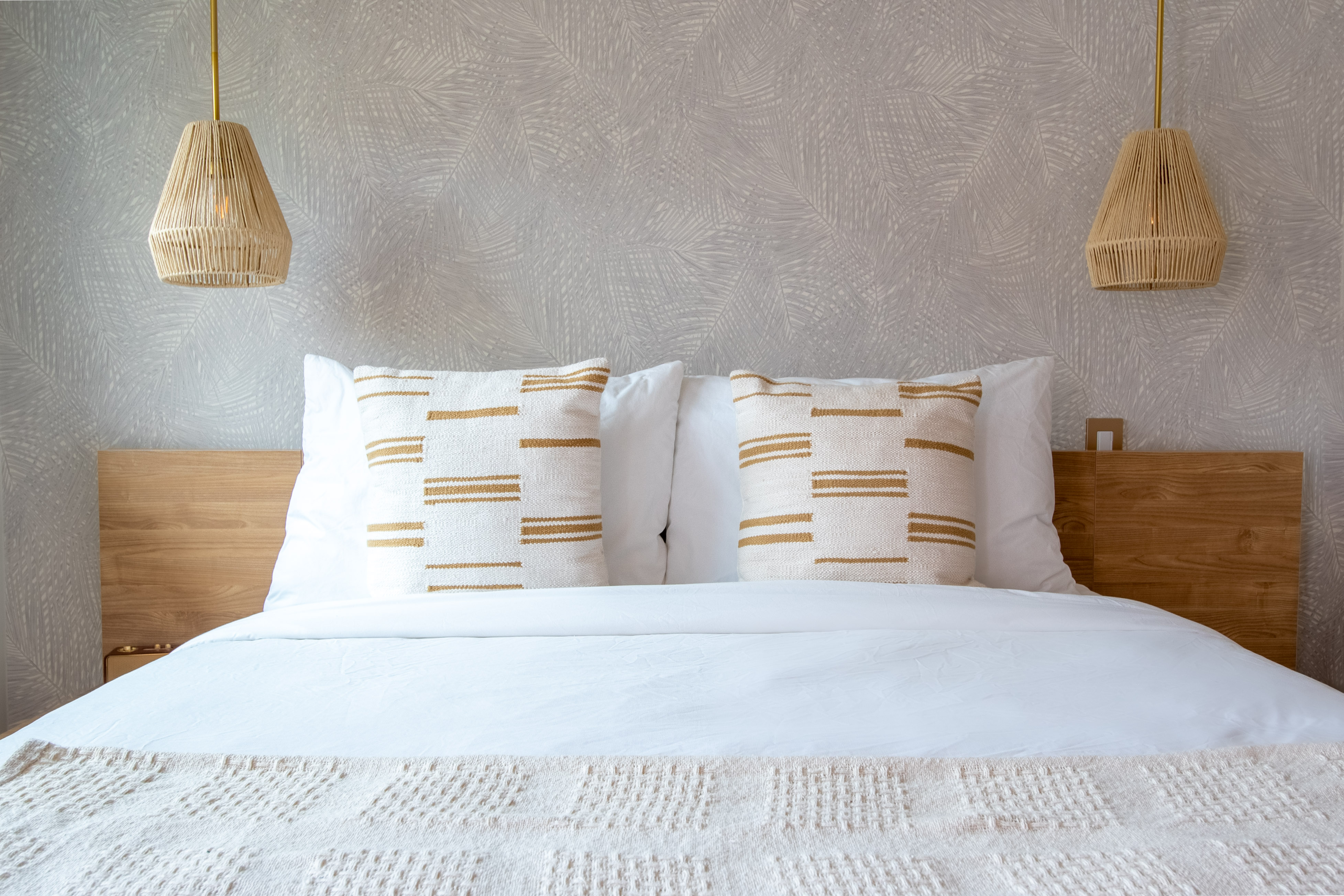 tree in a desert field