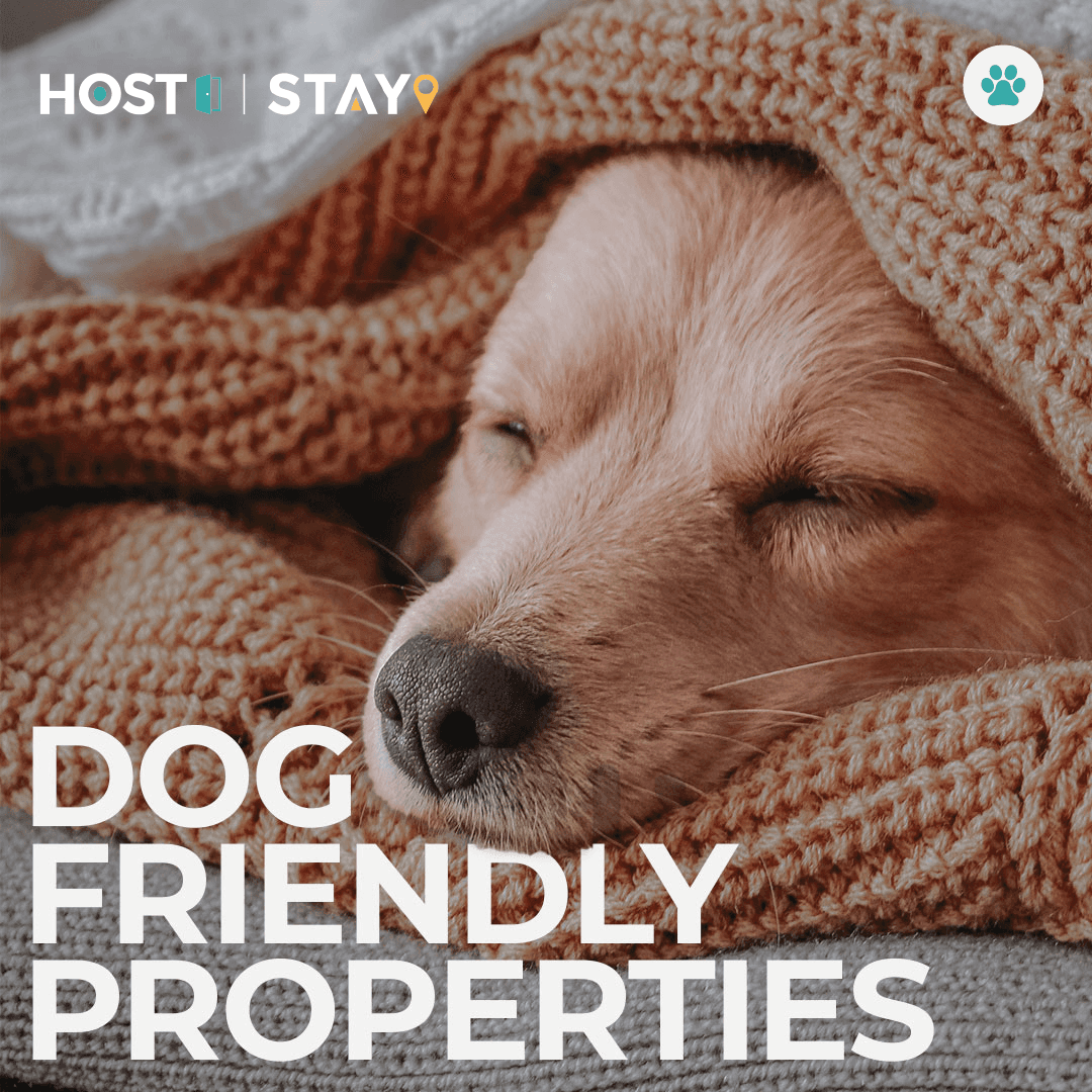Maximising Host & Stay's potential through paid social strategies.