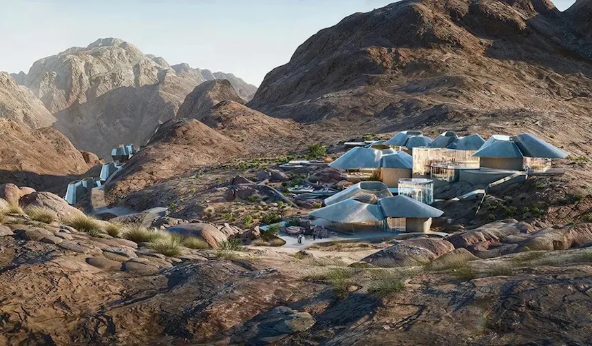 brown starfish on blue sand