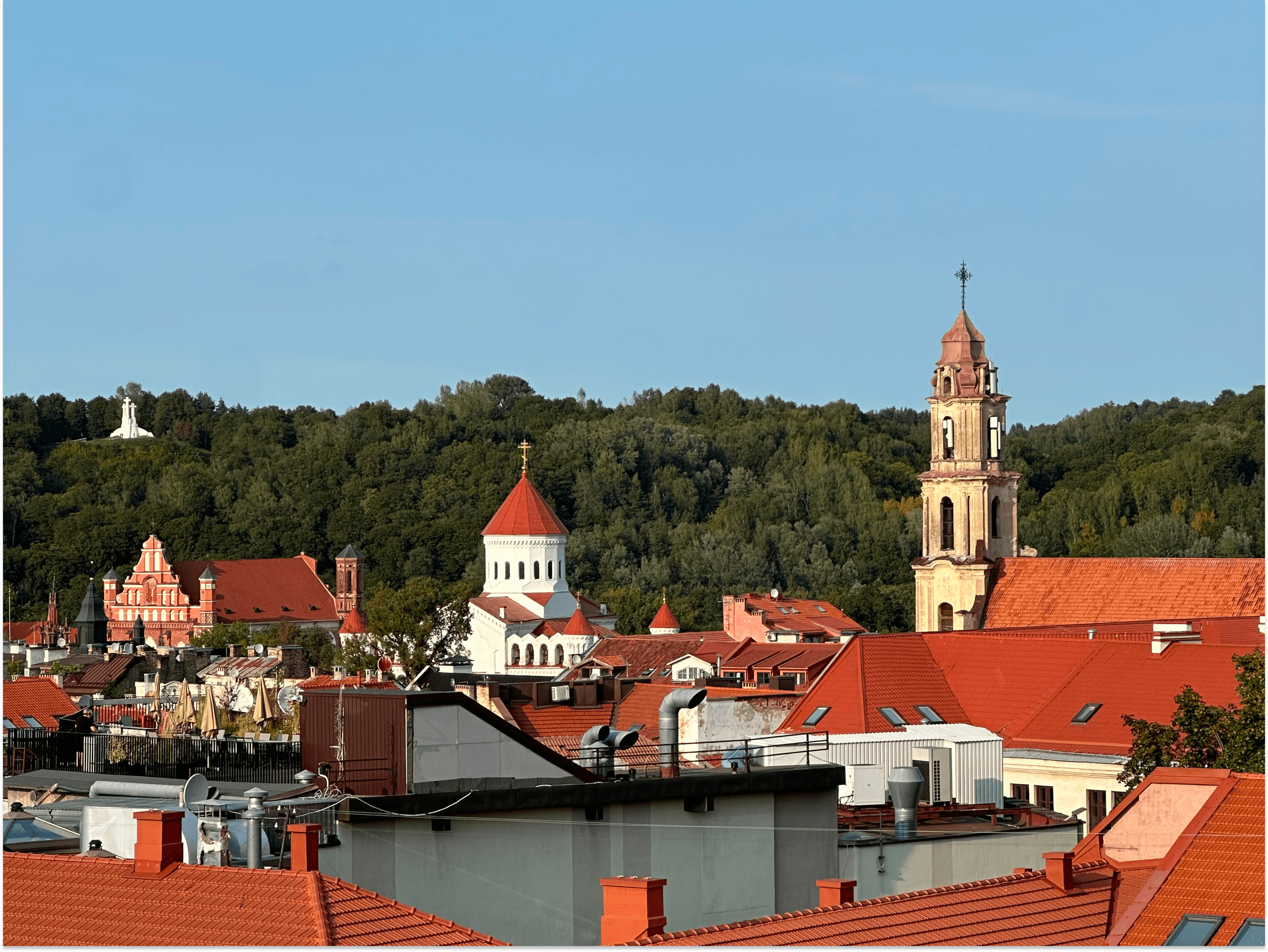 Churches in front of a forest in Vilnius
