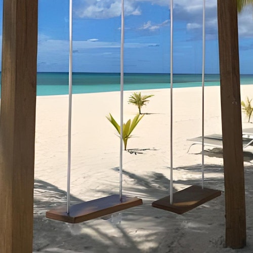 Isla Saona: VIP Tour tickets in Punta Cana