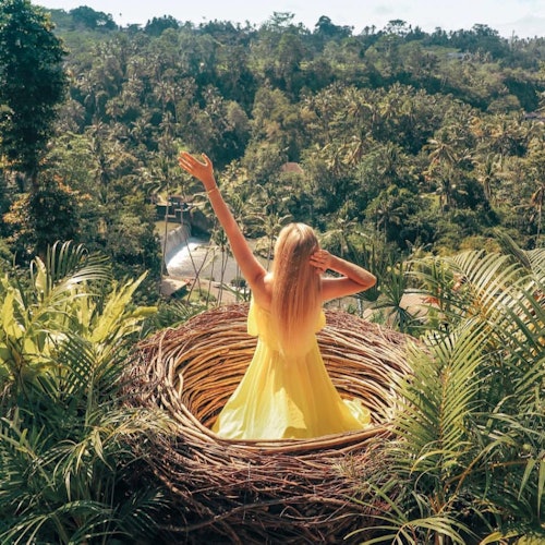 Woman in a yellow dress sits in a large nest on a hillside, overlooking a lush, green forest.