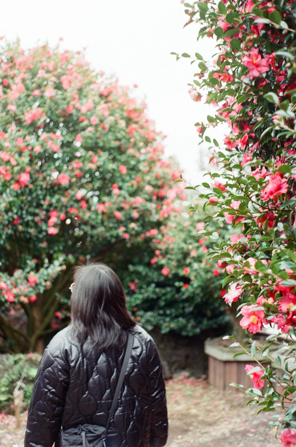 a cell phone leaning on a ledge