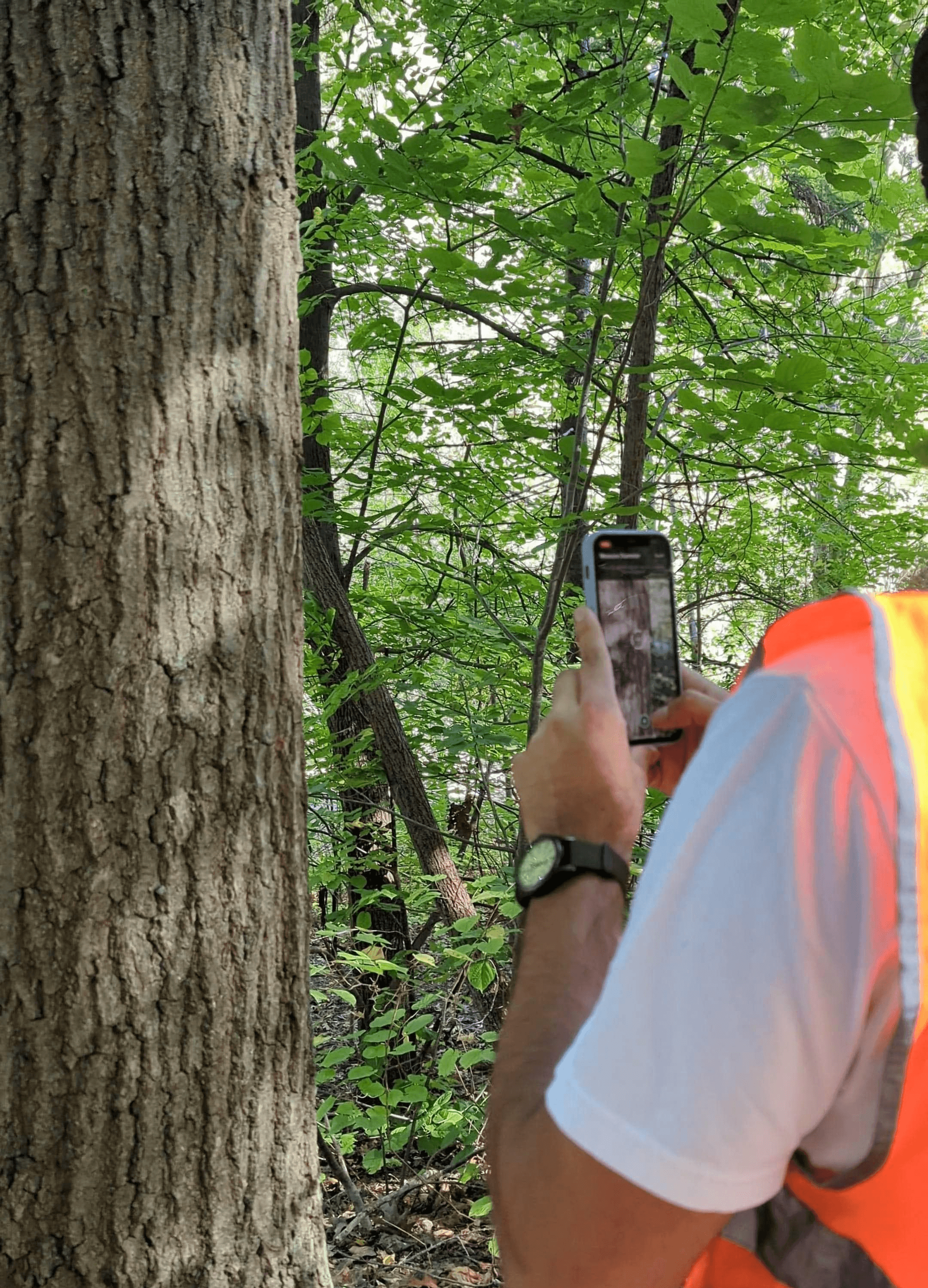 A winding road cuts through rocky terrain, surrounded by patches of green grass and illuminated by sunlight.