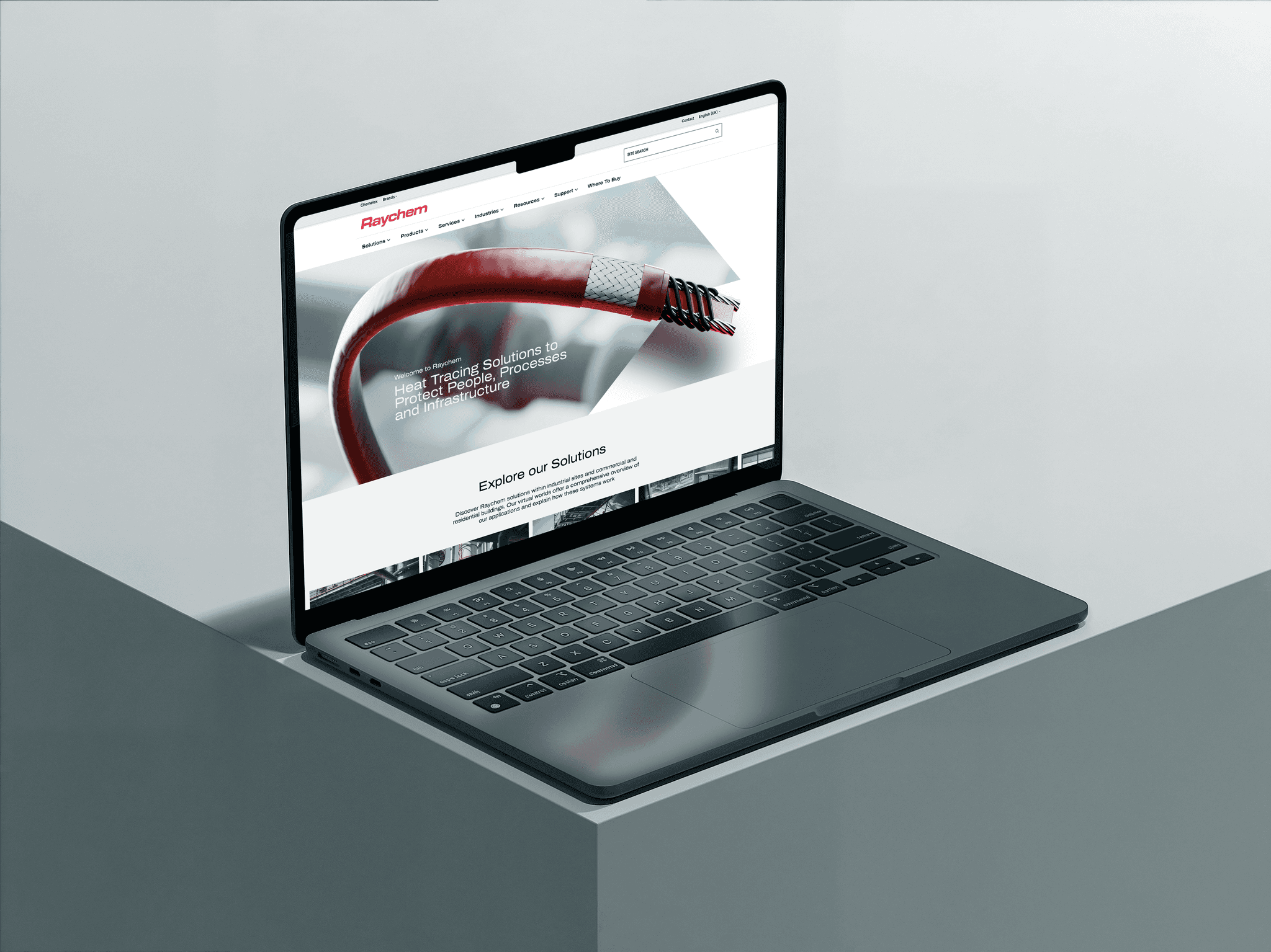 Raychem website on a macbook mockup