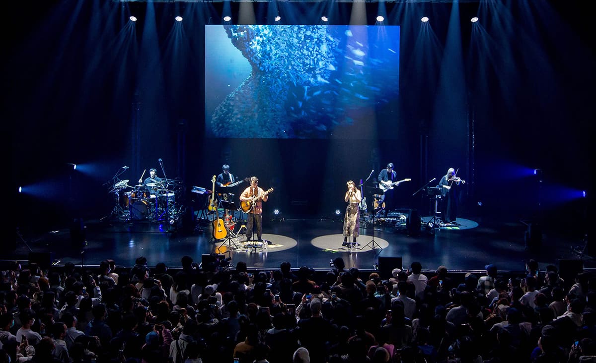 Live Concert Interactive Visuals