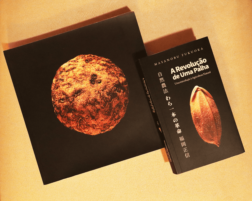 Person shown from the back sitting behind a desk looking at a screen.