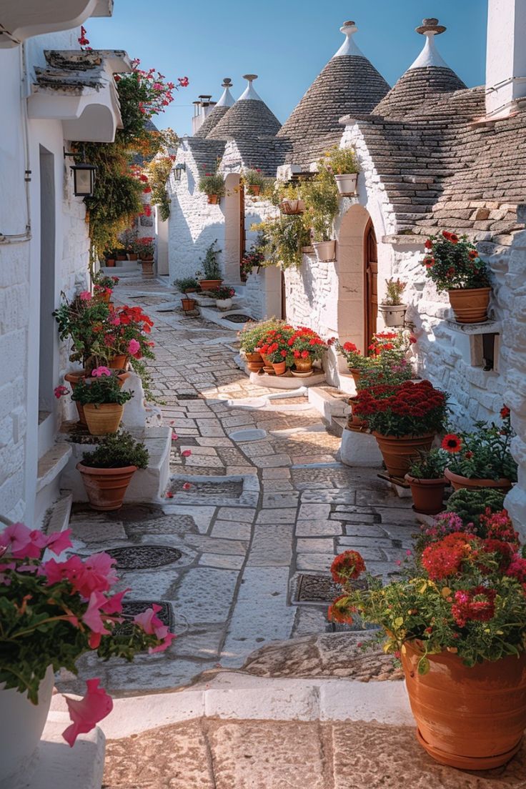 Individual Nutrition Consultation