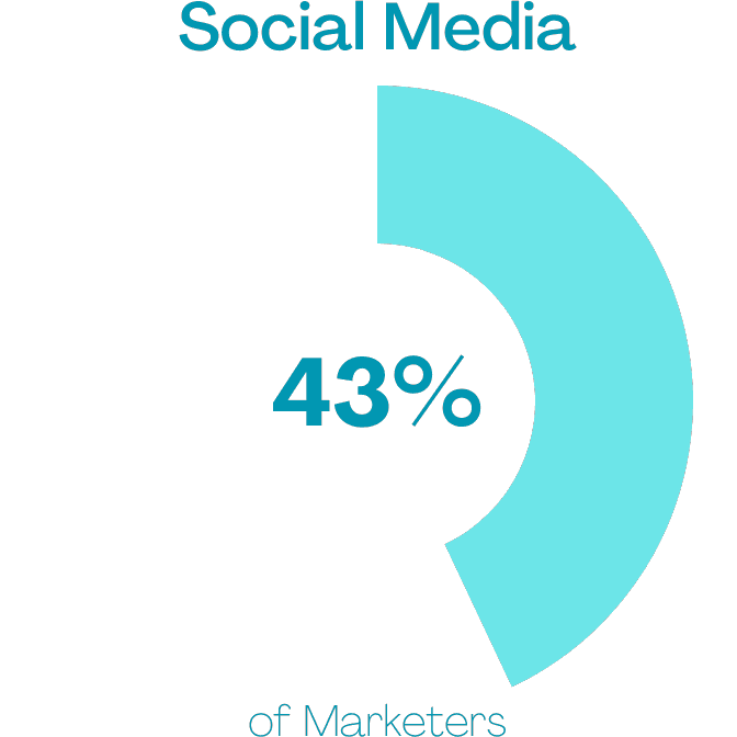 Percentage of marketers using social media