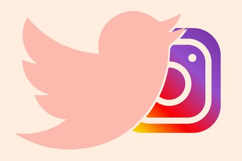 Tweets and memes in instagram