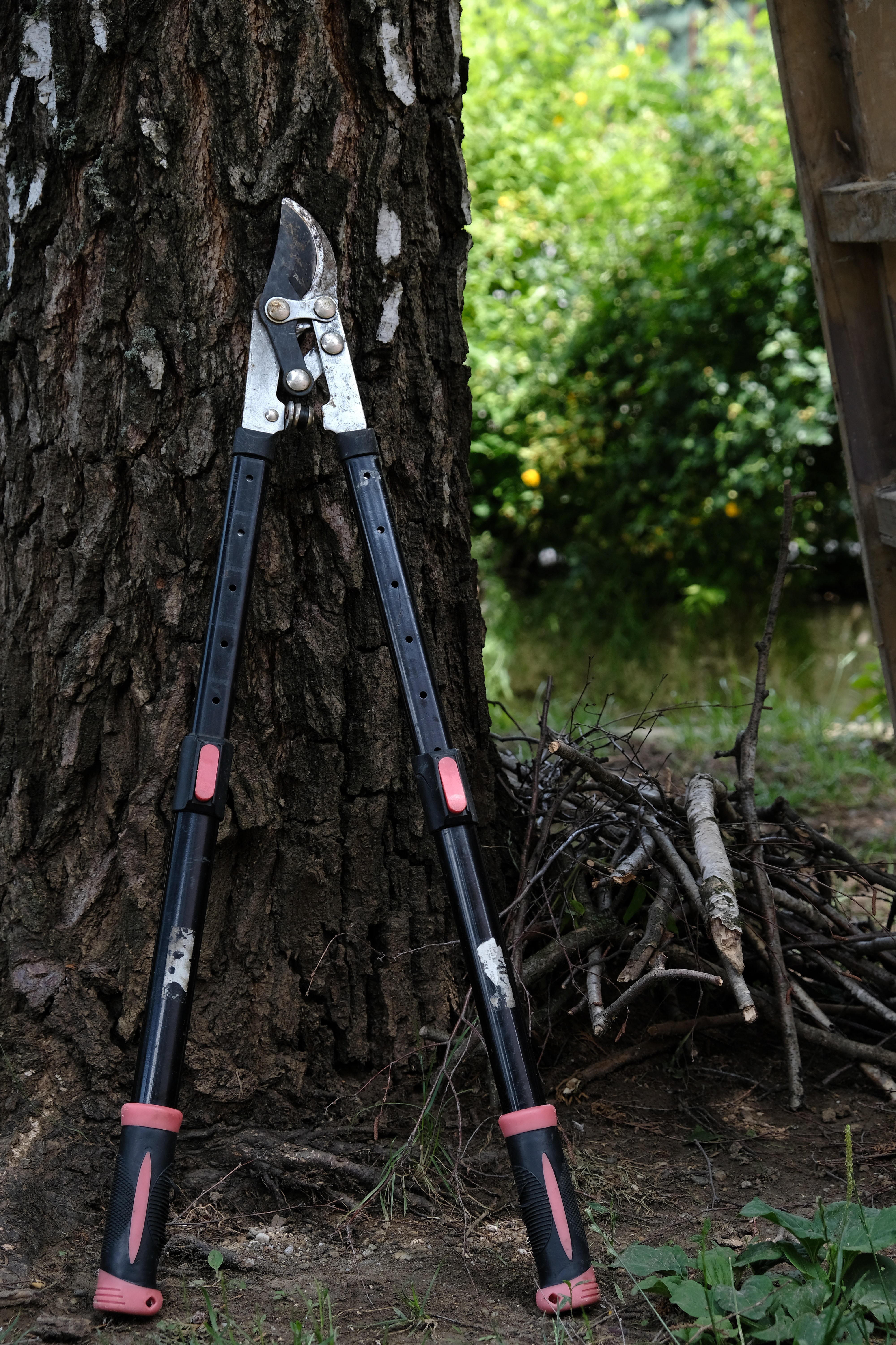 Seriously Fast Sharpening Pruners