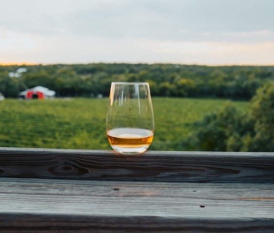 Wine glass with vineyard in the background