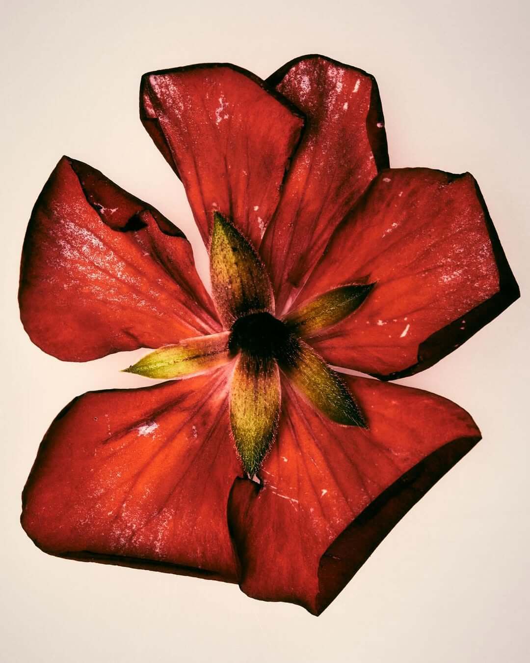 image-3
