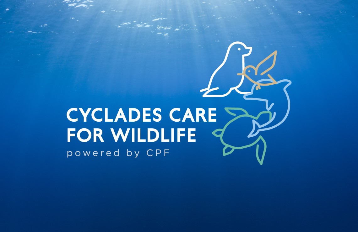 Digital representation of the Cyclades Care for Wildlife identity in a hero image, inspired by the marine environment and emphasizing clarity and calmness