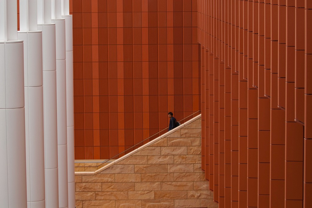 Abstract curved forms in wood and white, creating a warm, modern architectural space. Natural light illuminates textures.