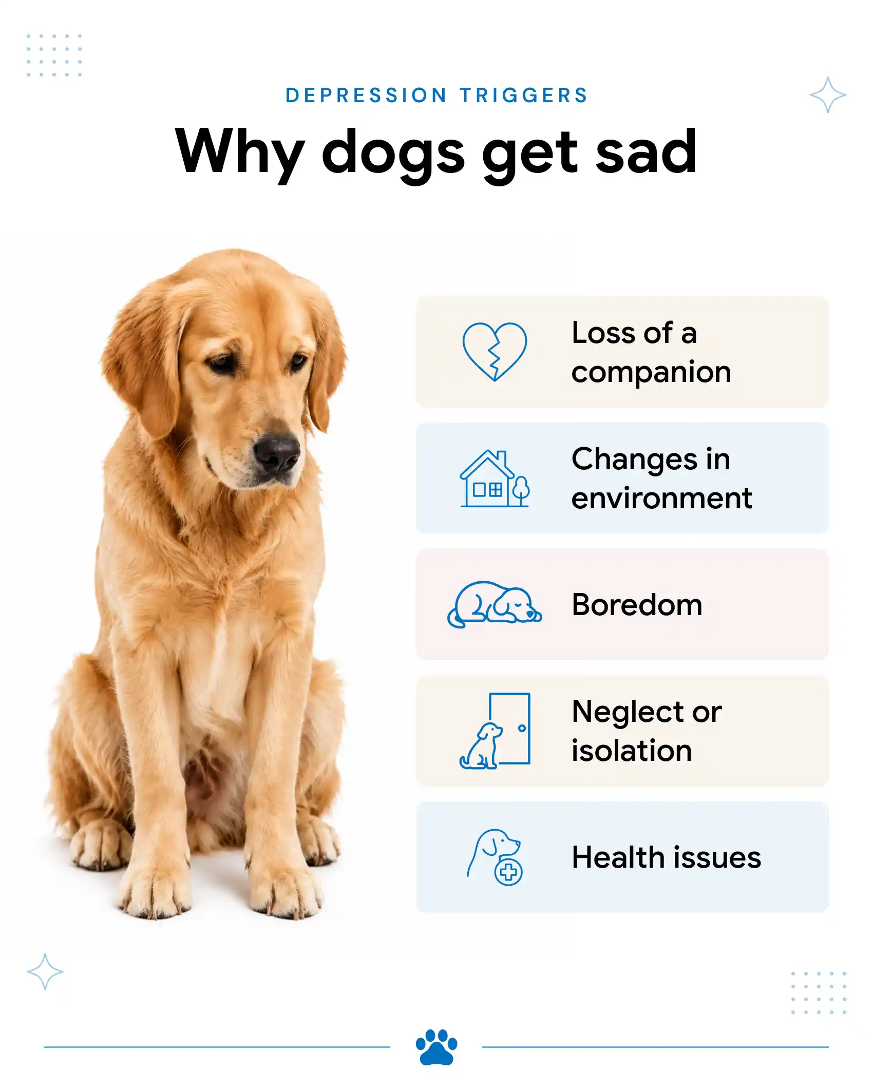 An infographic talking about the causes of dog sadness.