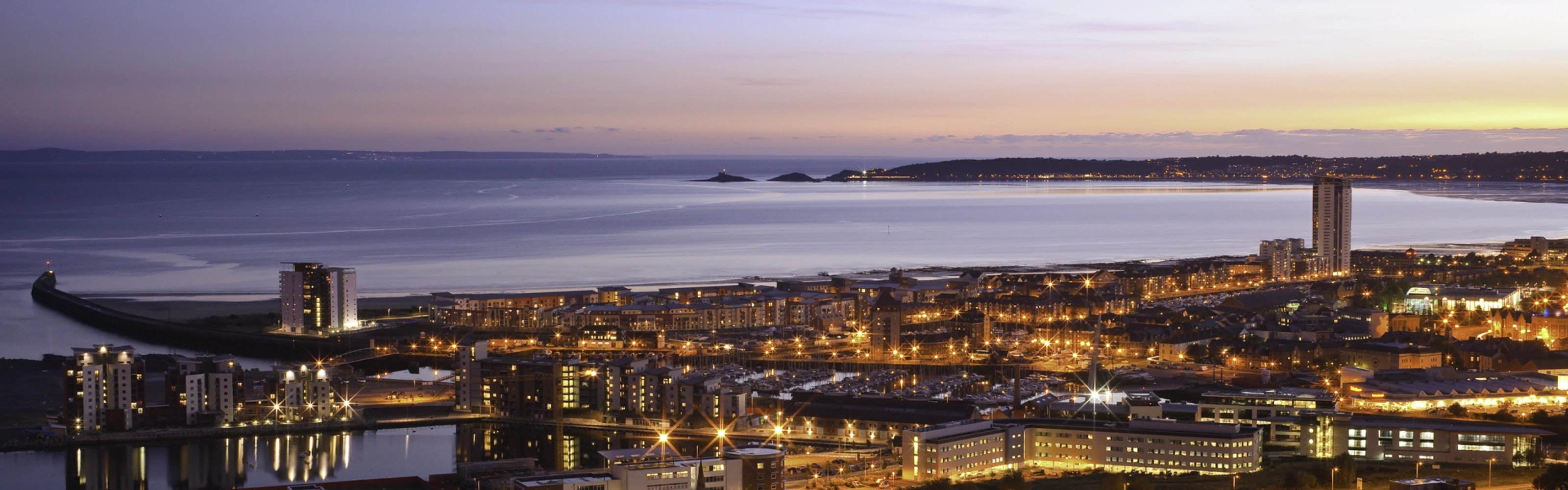 Field with sheep in Penrhyn-coch