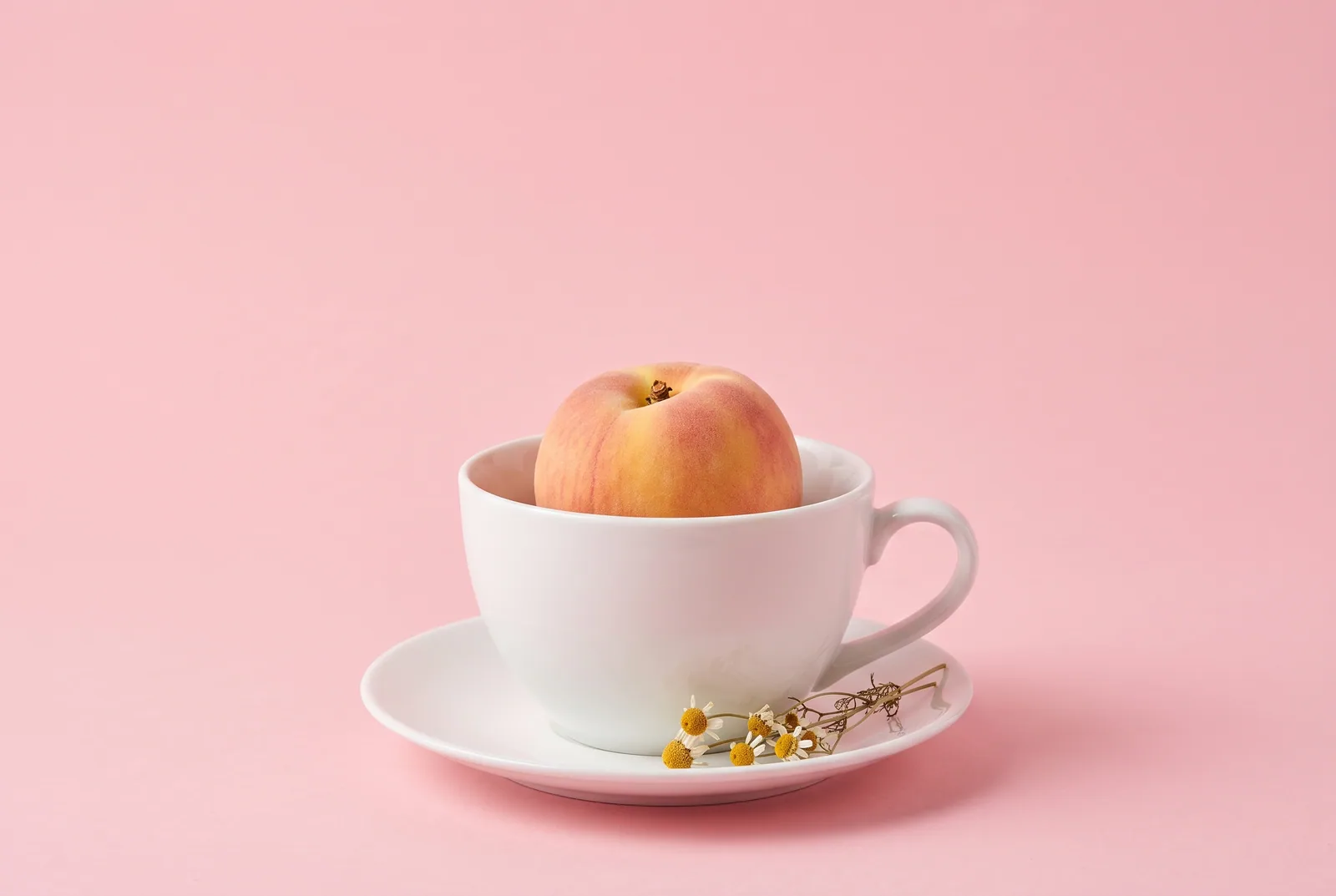 A ripe peach resting safely inside a white porcelain teacup on a pastel pink backdrop, a gentle image for wives of porn addicts caring for themselves