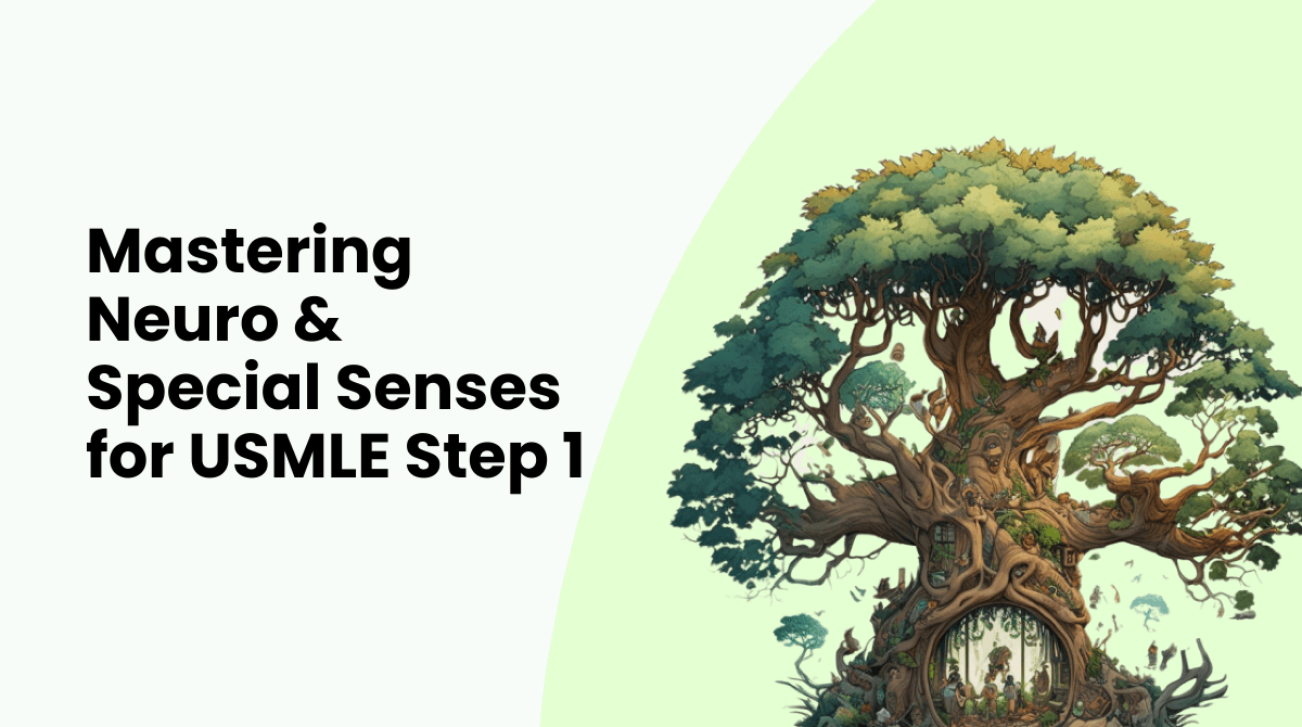 mastering Neuro & Special Senses for USMLE