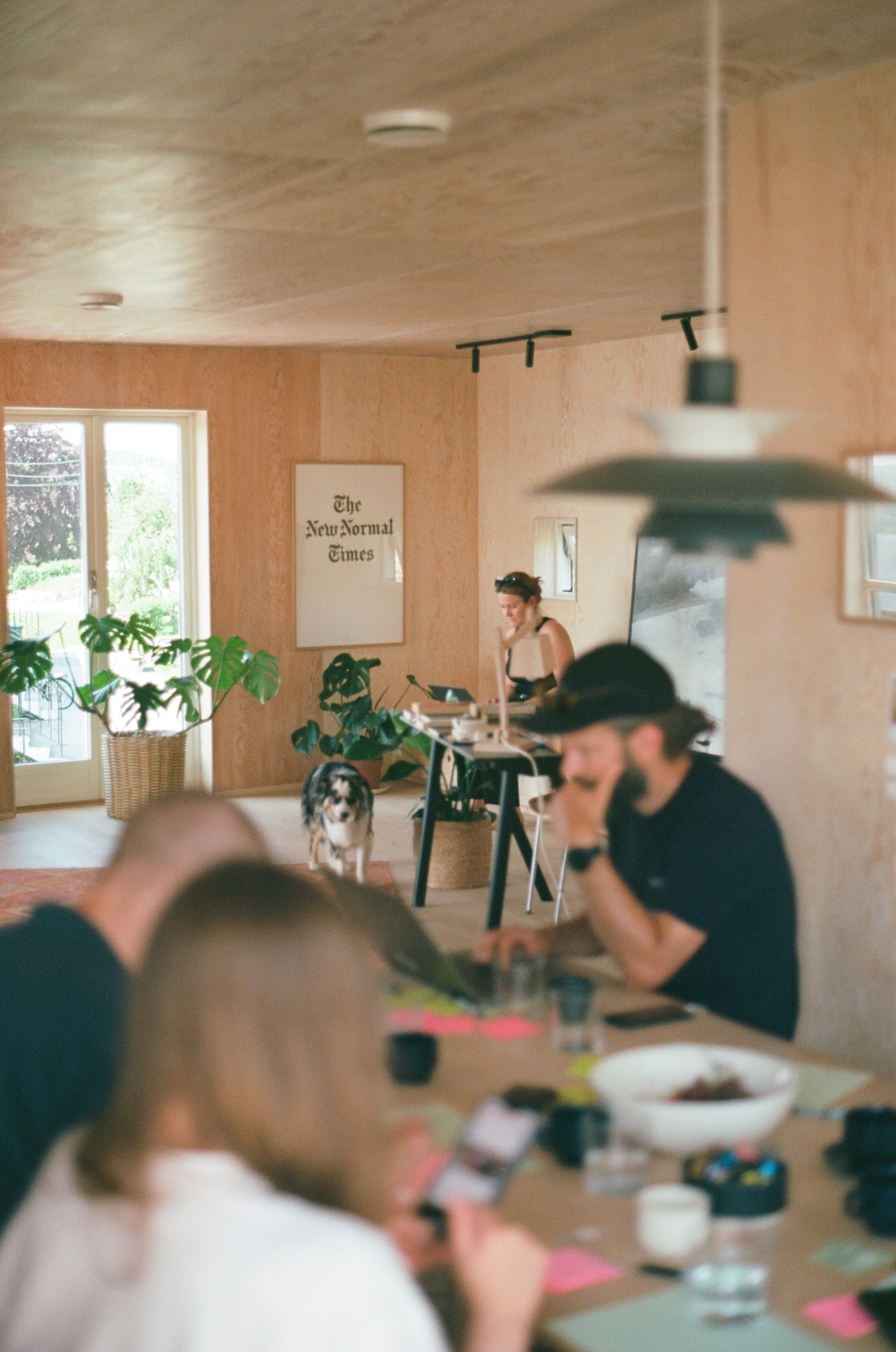 Backside of a person with a had and curly hairs sits in front of a screen in a room