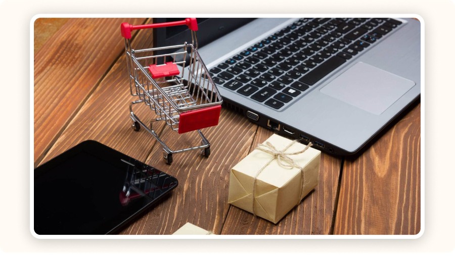 Return Policies and Refund Conditions