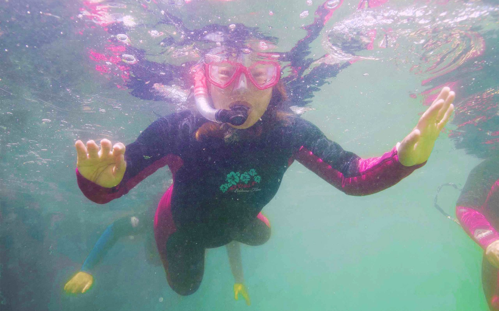 穿着潜水服的浮潜者正在水下探索，这是‘与鲨鱼和鳐鱼一同浮潜’之旅的一部分。