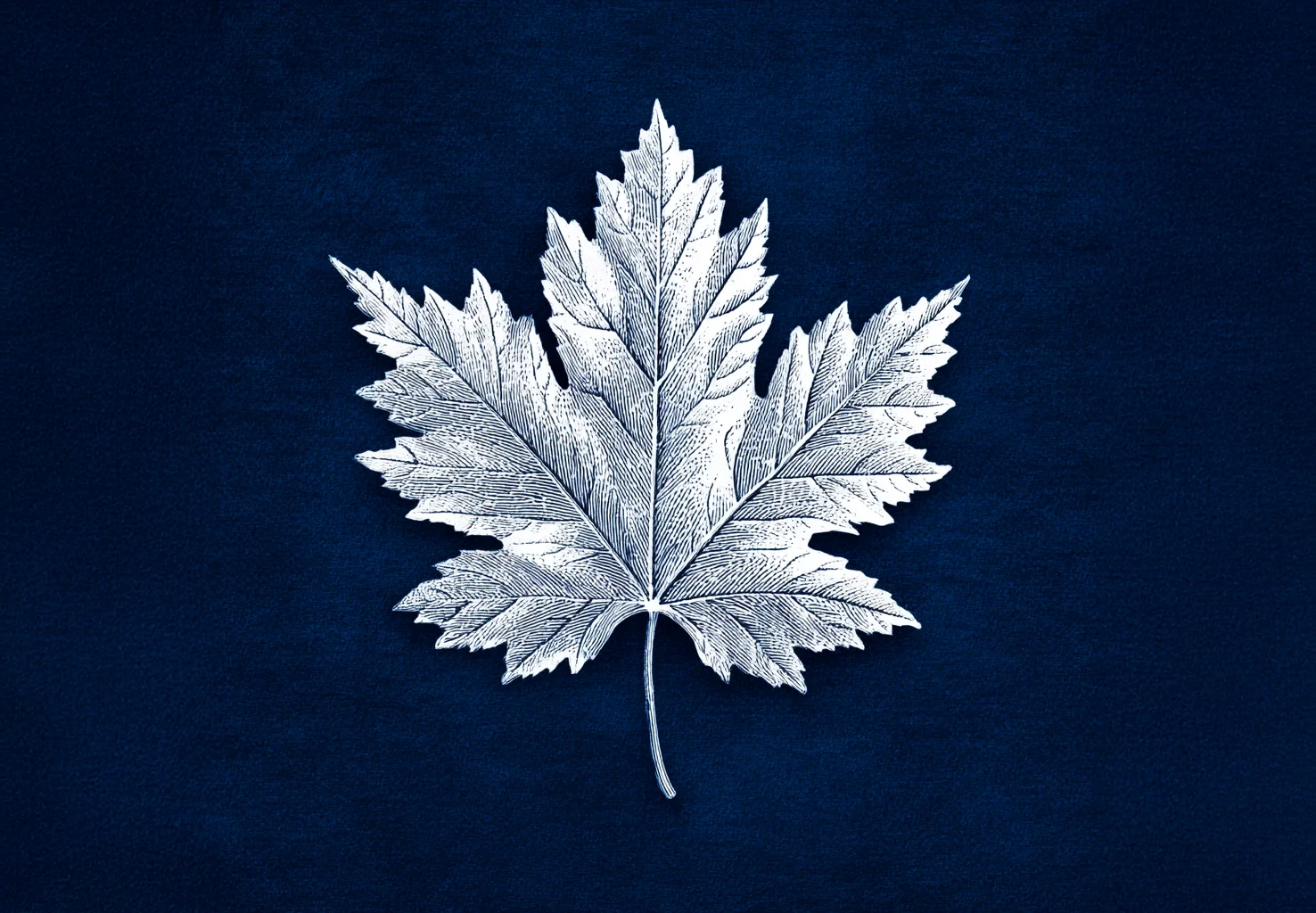 ESG in Practice: How Stronghold Creates Long-Term Value in Alberta