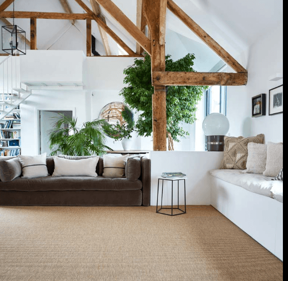 Cozy room with a large arched window, featuring a rust-colored armchair on a circular green rug. Lush potted plants add a serene, natural vibe.