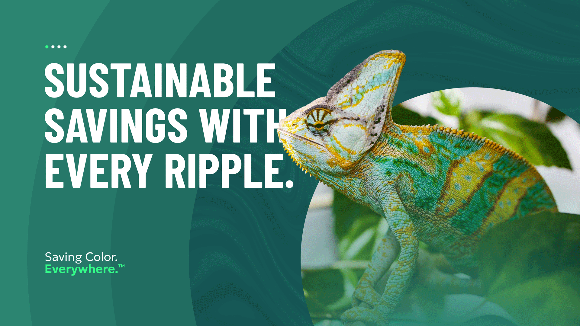 Riverdale Global sustainable savings