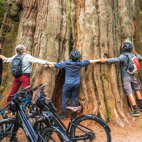 斯坦利公园家庭自行车游