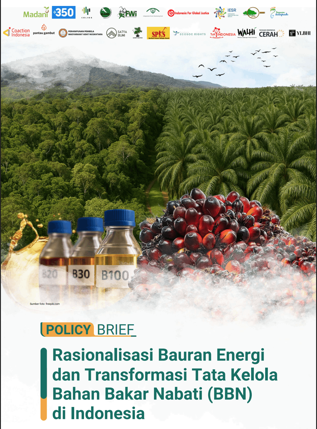 Close-up of lush, dark green leaves, some glossy and wet, against a muted background.