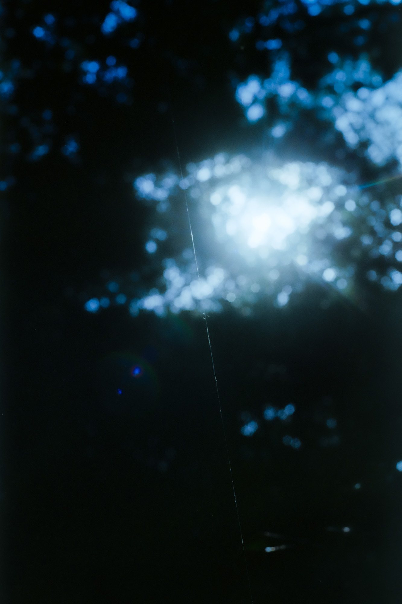 Taisei Matsumoto, 2024 exhibition work 010