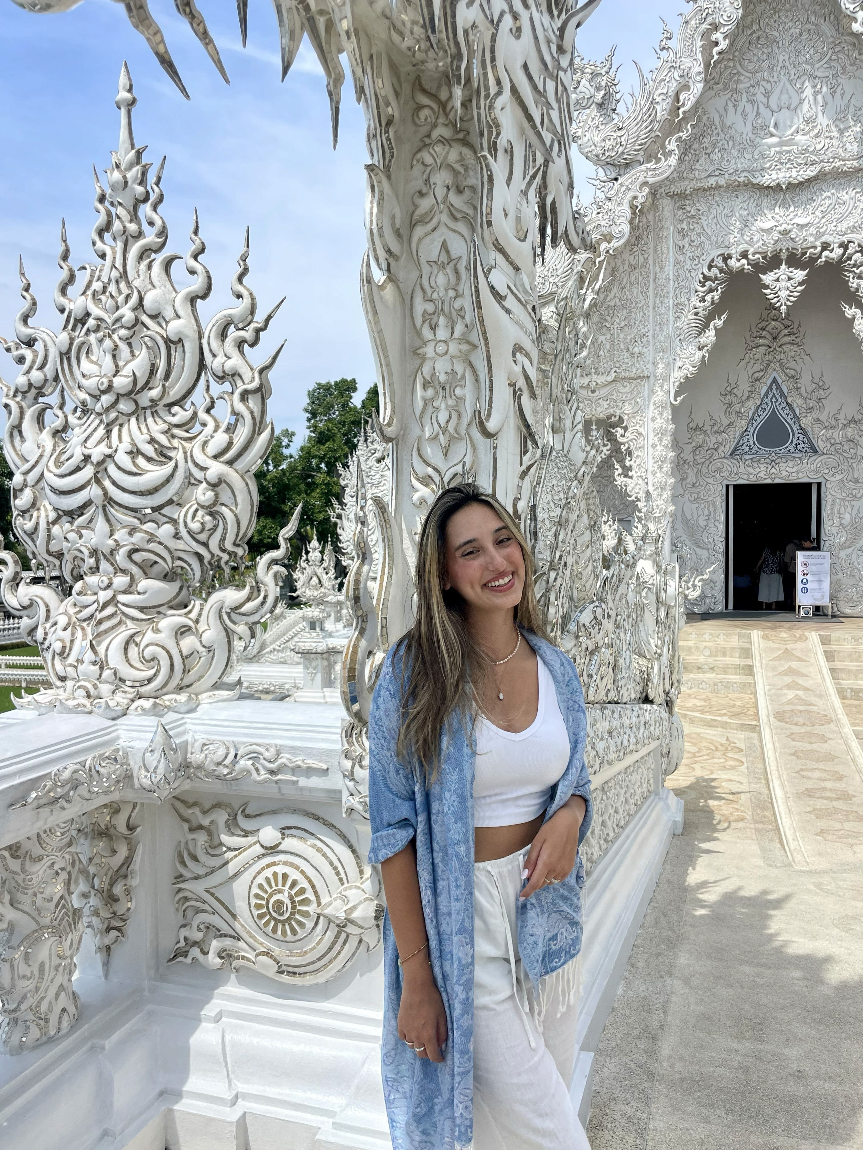 Magnetic repel image