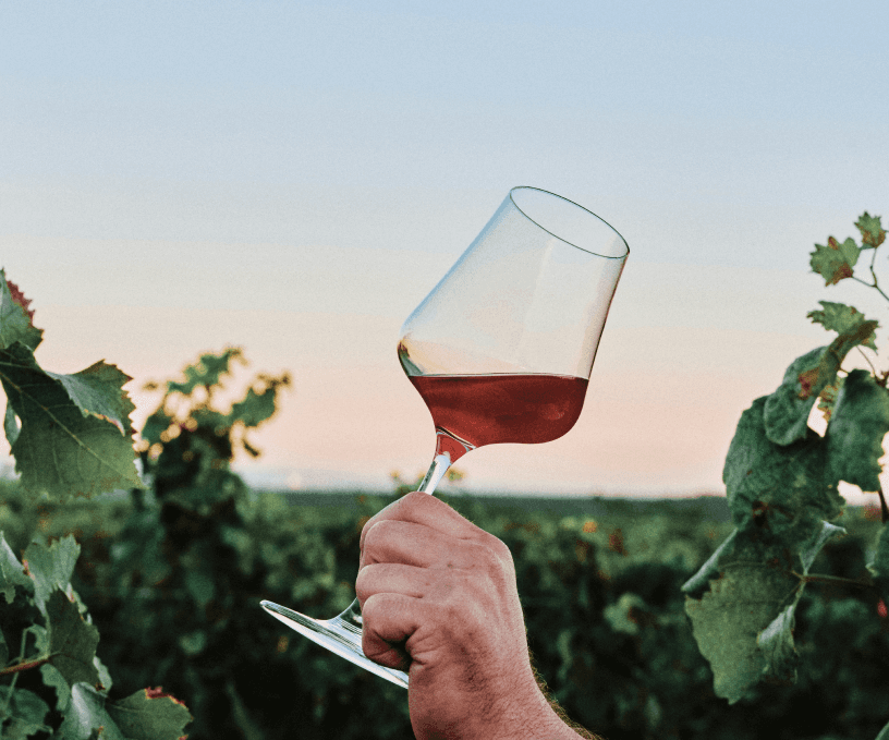 White man's hand holding a swirling a glass of light red wine in a wine plantation