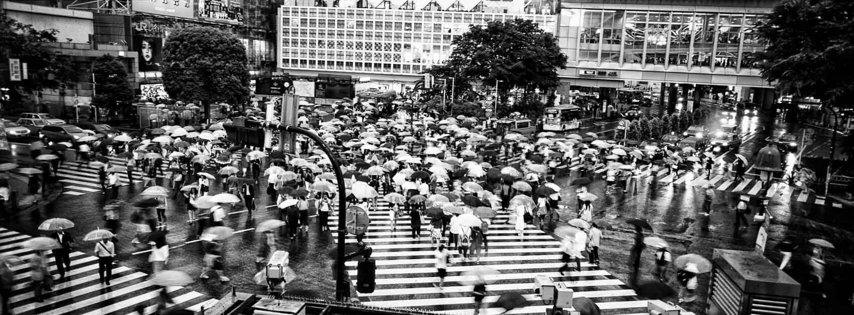 Fujifilm TX-1 panoramic photo of Shibuya crossing in Tokyo, Japan, during a rainy day and strong use of repeating patterns.