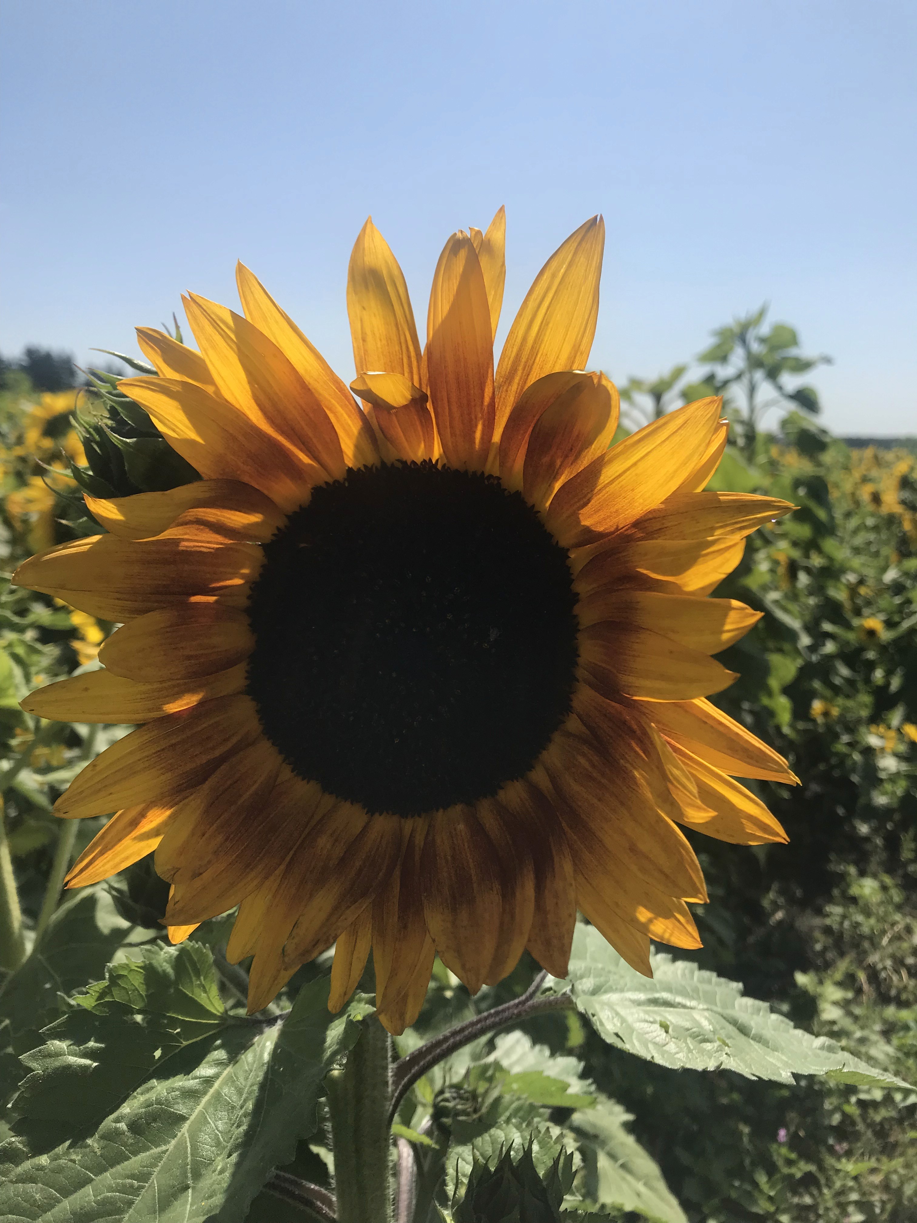 people in a large building with Tate Modern in the background