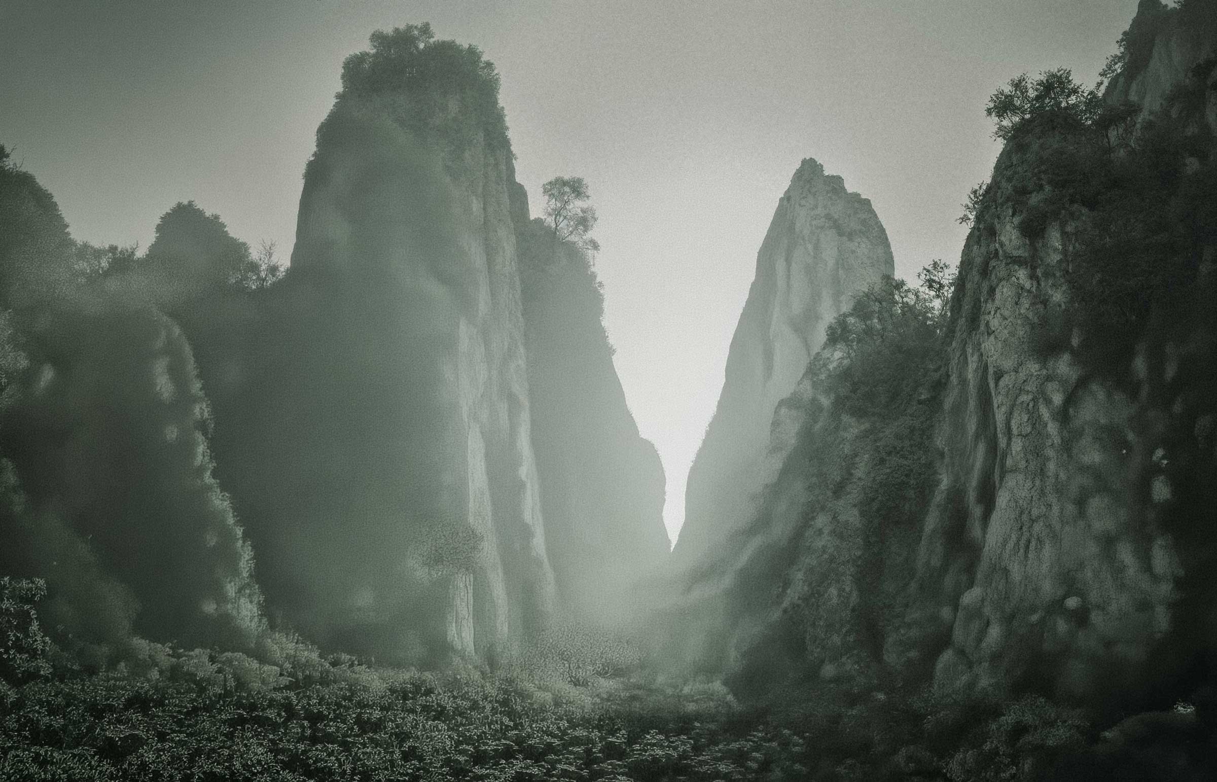 Misty karst mountains with dense foliage.
