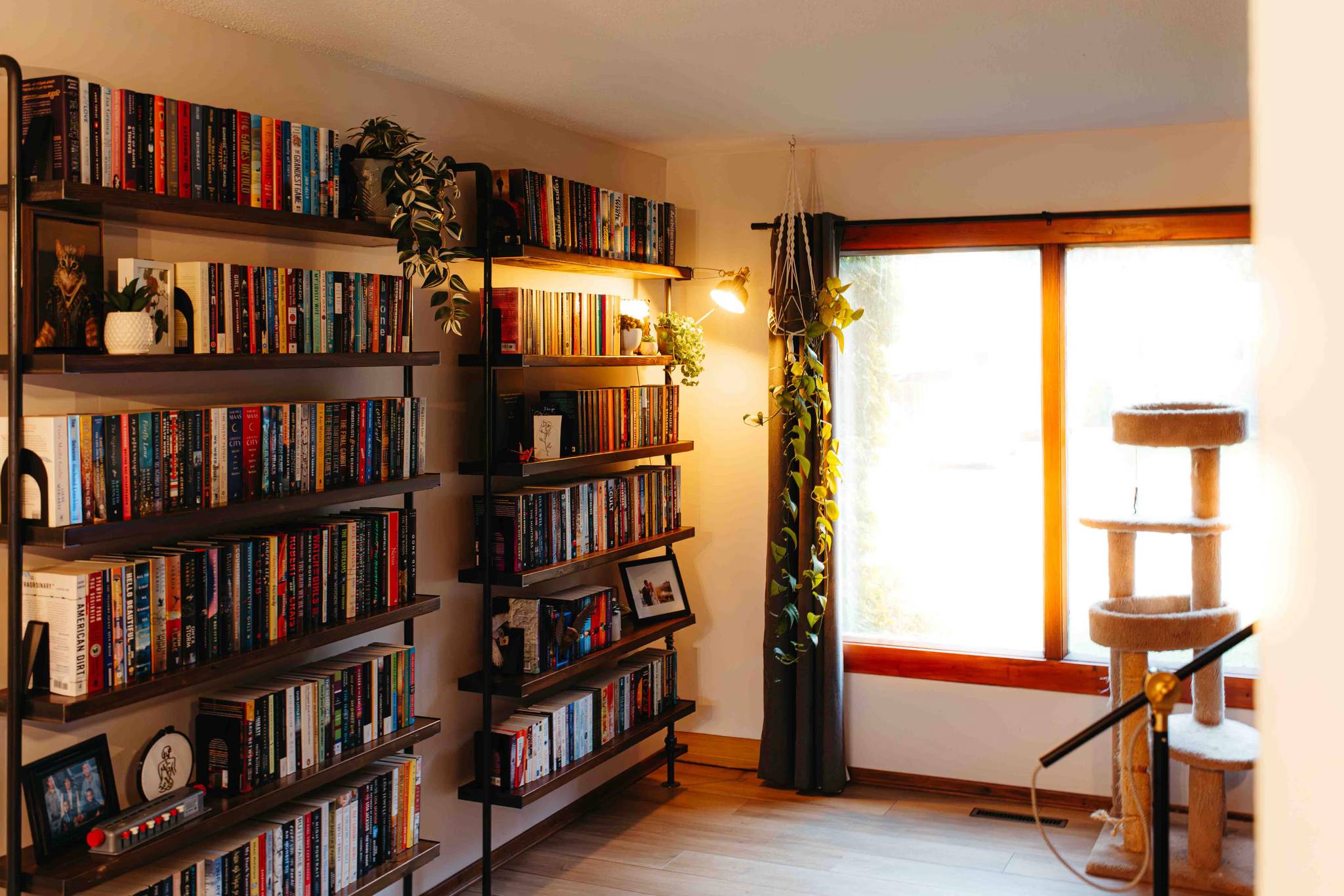 A living room wiht custom bookshelves