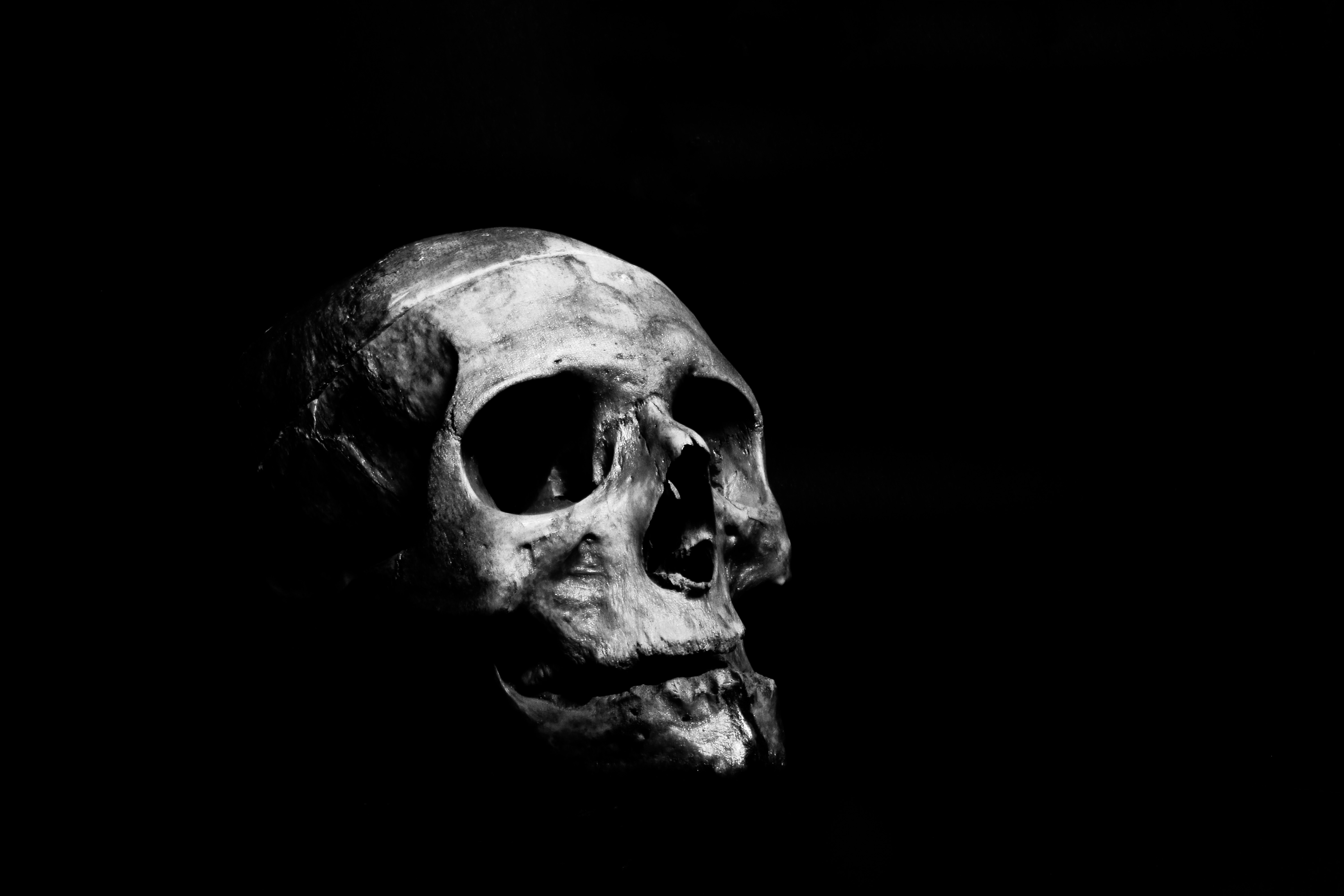 The Beyond: Skull in the Dark