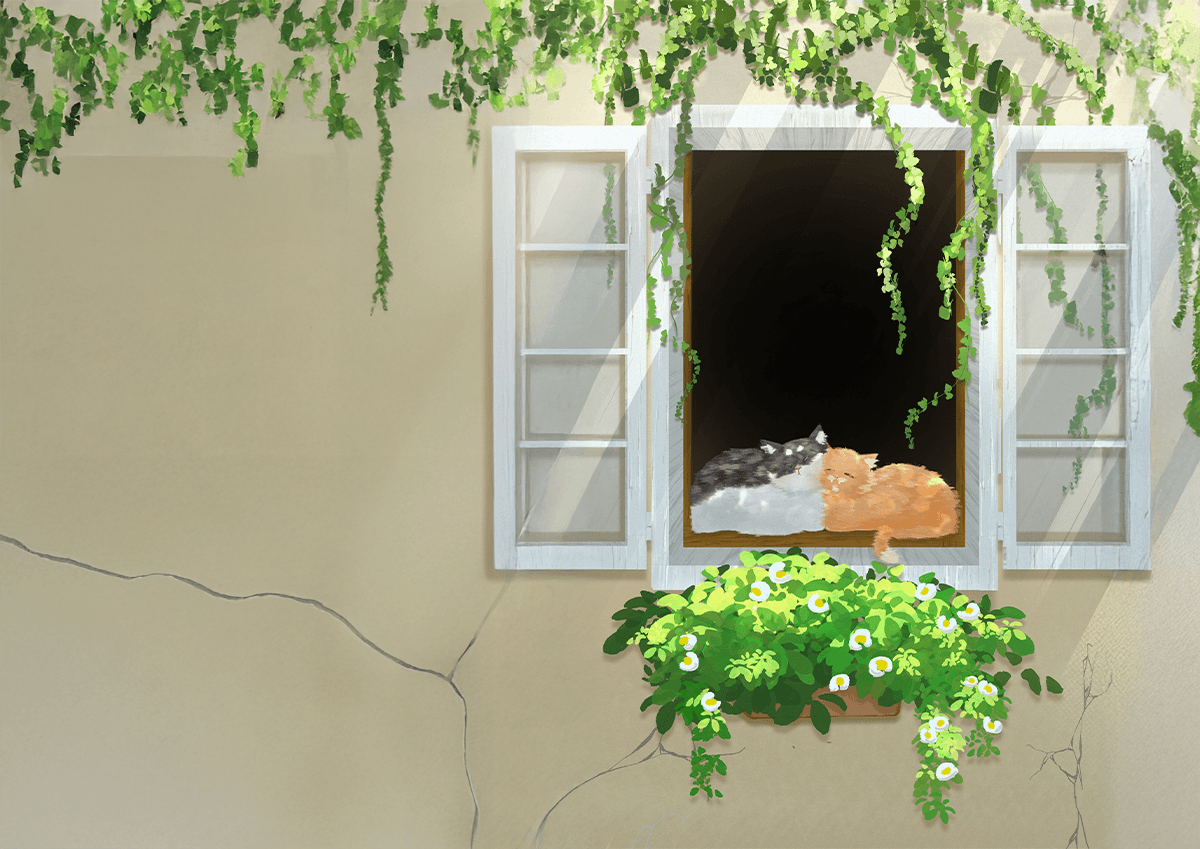 Dynamic picture of a cyclist riding downhill