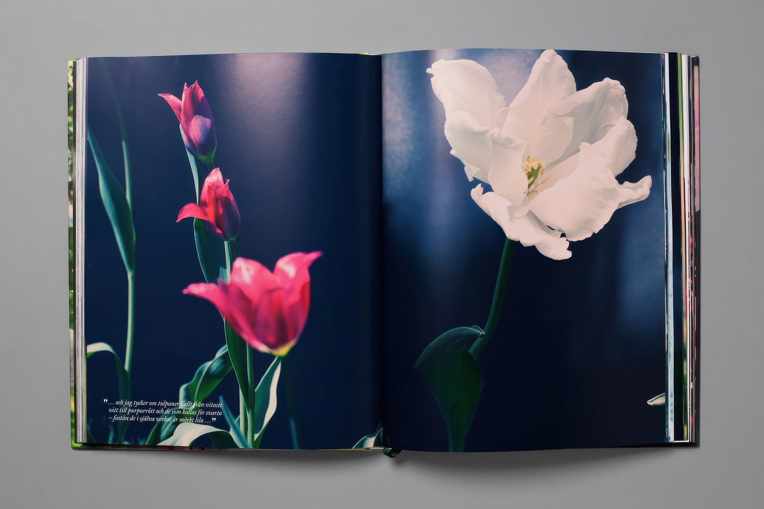 Kalkbrott i Slite, med transporrtfordon