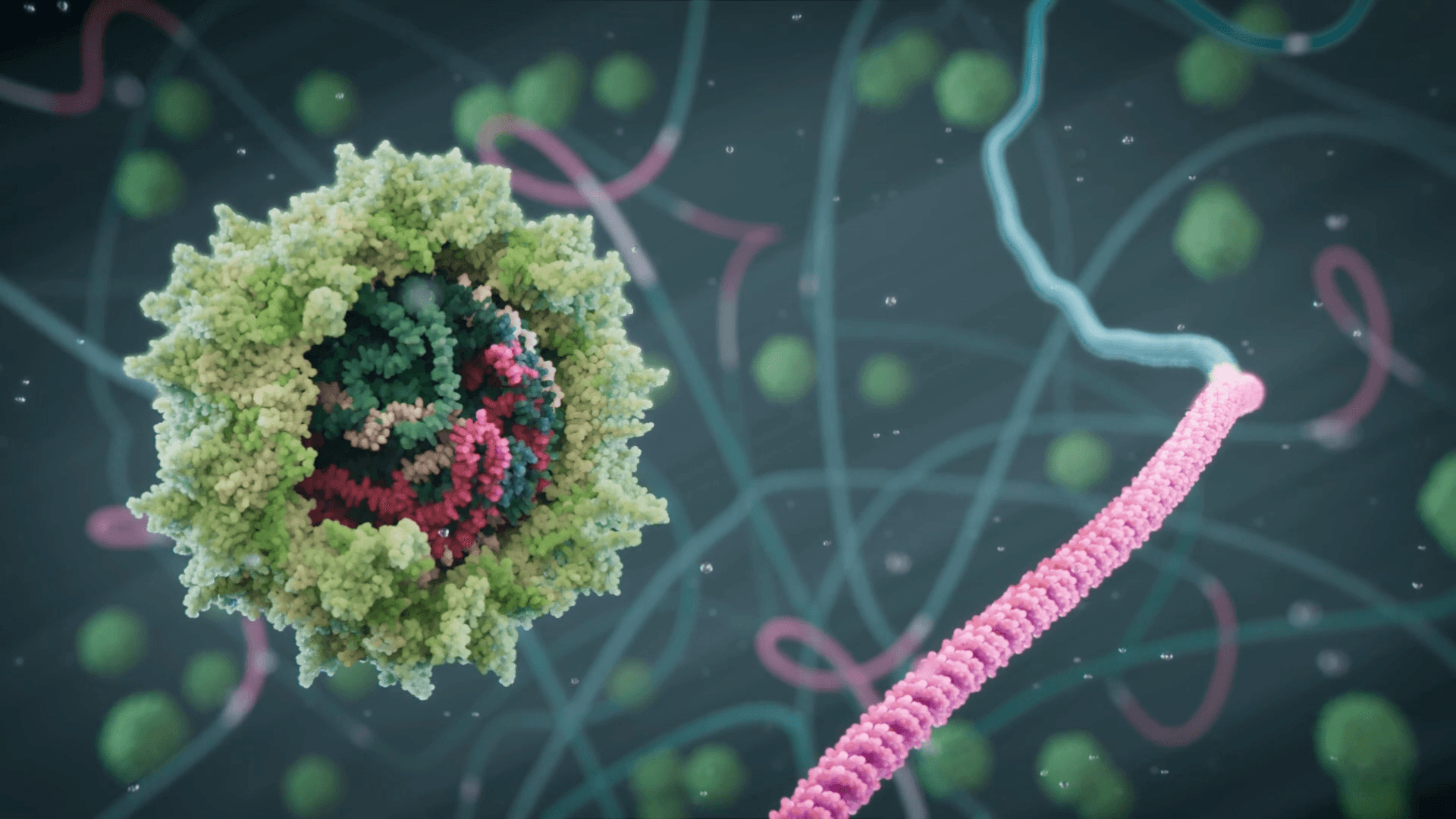 Glioblastoma cells with gene therapy constructs visible inside