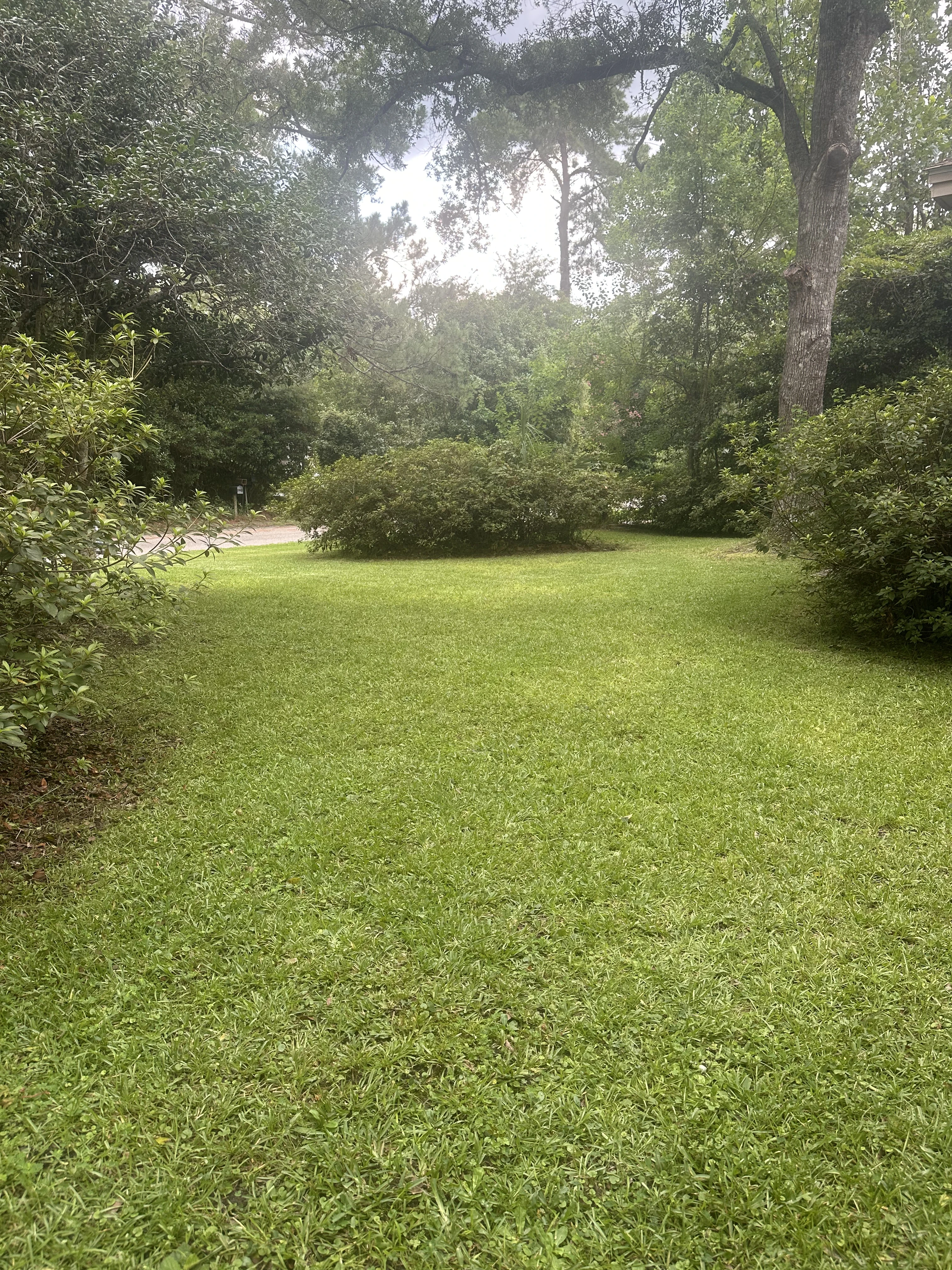 Beautiful landscaped garden with greenery and outdoor design elements.