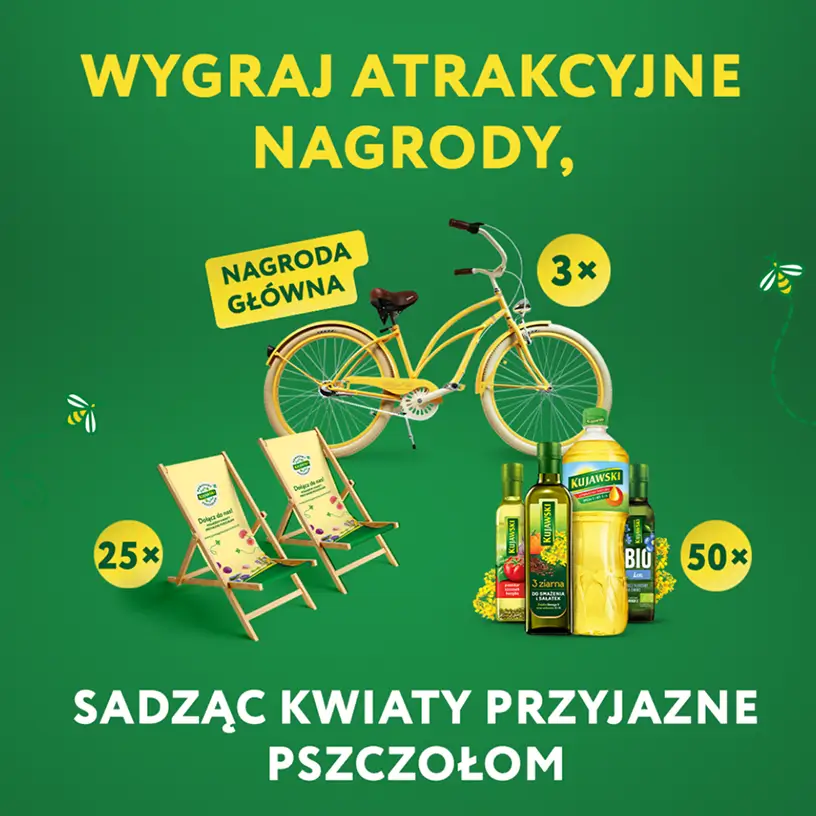 Grafika konkursowa Kujawski z rowerem, leżakami i butelkami oleju