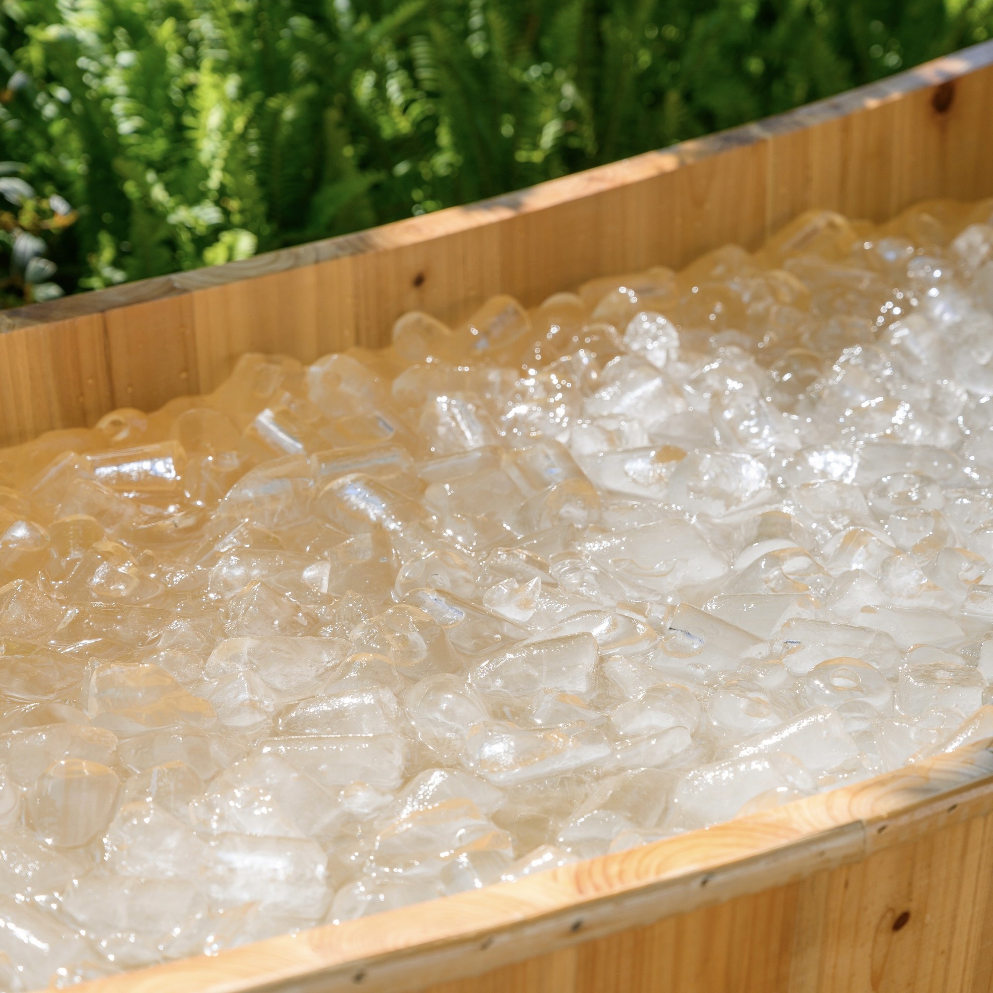 Ice Bath in Chiang Mai