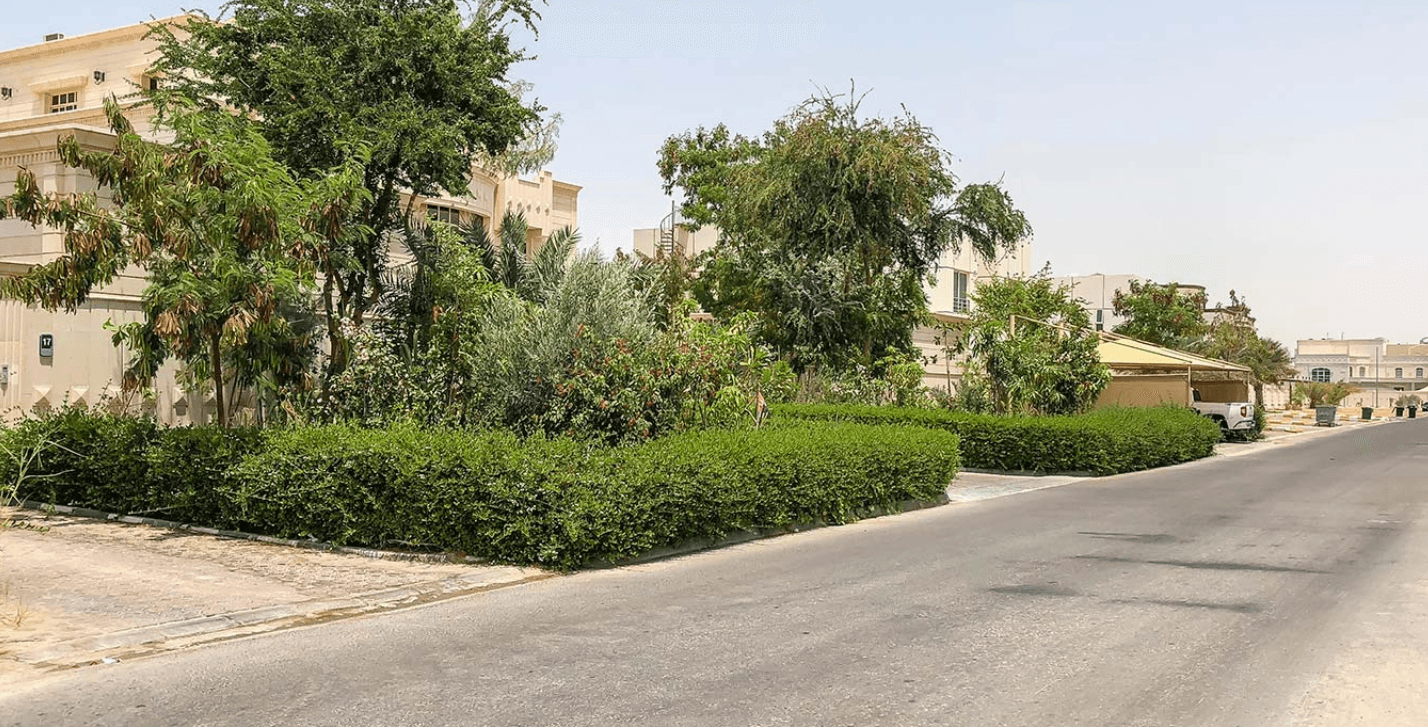 A street lined with trees and bushes in front of a house in Khalifa City.