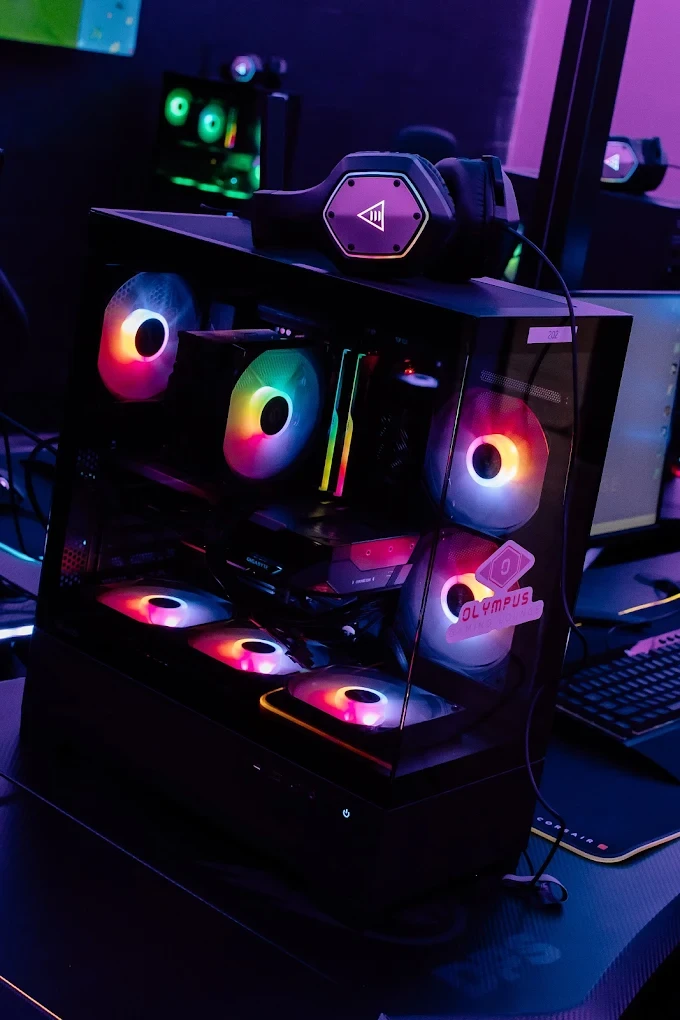 person holding black ipad with green plant