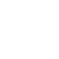 Blue Bird copany logo