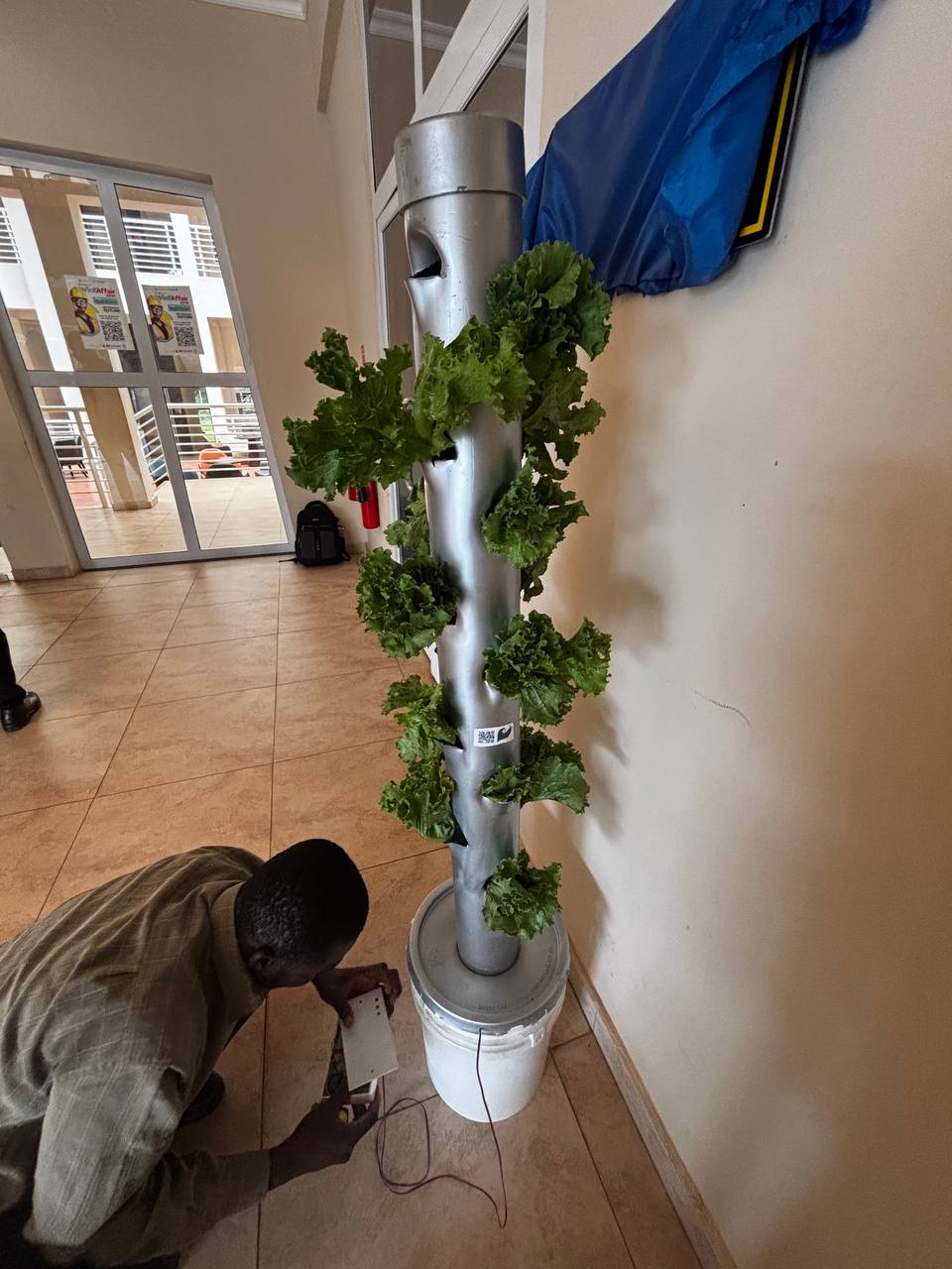 Portfolio project image